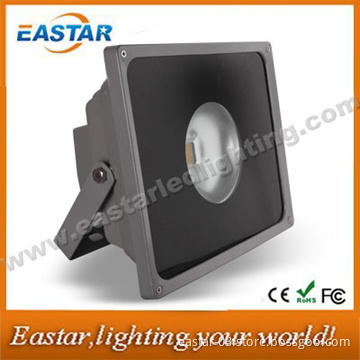 50W High Power LED Floodlight